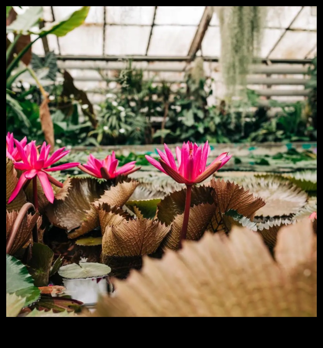 Blossom Brilliance: Sfaturi dovedite pentru o grădină luxuriantă