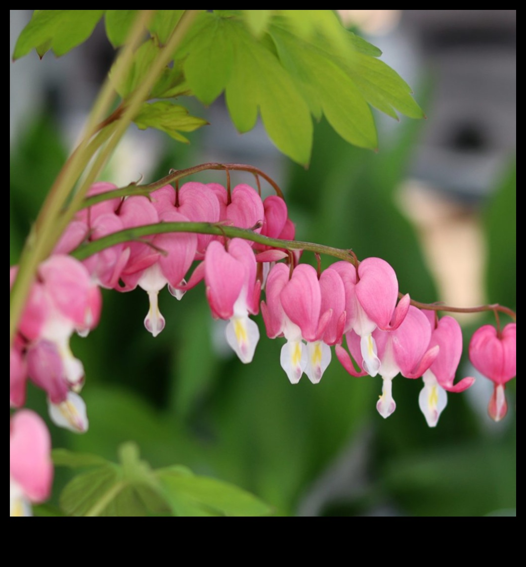 Cadouri pentru grădinărit în curte înflorită pentru oaza mamei 4 Curtea înflorită: cadouri de grădinărit pentru oaza mamei