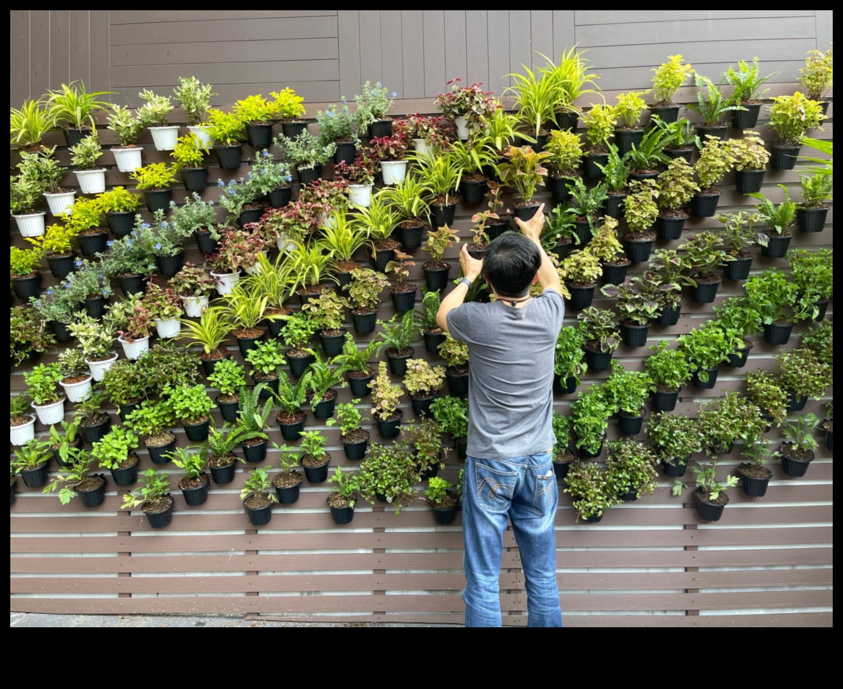 Crafting Greenery: bricolaj aventuri pentru o grădină înfloritoare