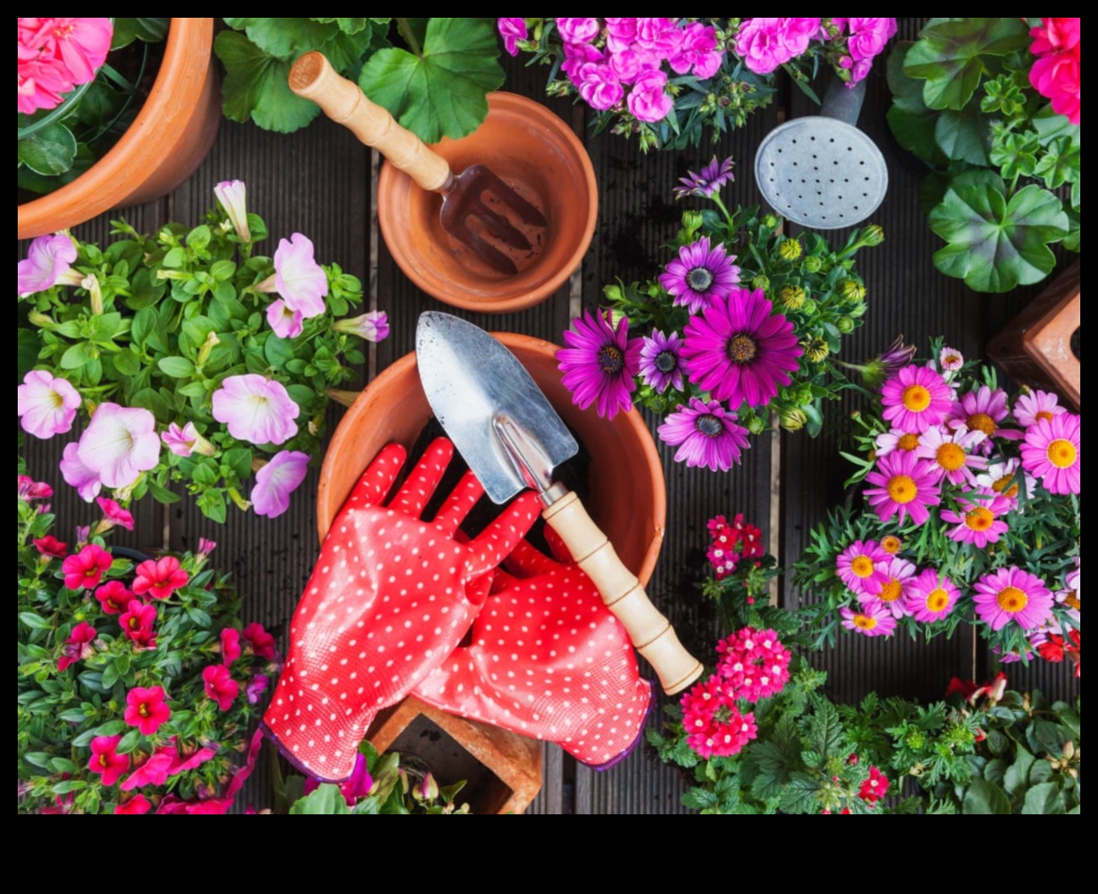 Greenery Guardians: Unelte de grădină dezvăluite