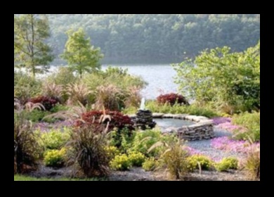 Seninătate sculptată: Designul grădinii eleganță redefinită