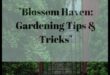 Blossom Brilliance: Sfaturi dovedite pentru o grădină luxuriantă