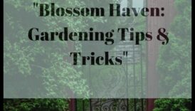 Blossom Brilliance: Sfaturi dovedite pentru o grădină luxuriantă