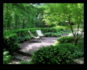 Colțuri de grădină: dezvăluirea liniștii spațiilor de cabană