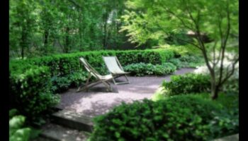 Colțuri de grădină: dezvăluirea liniștii spațiilor de cabană