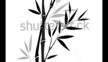 Frumusețea cernelii: realizarea de desene elegante și atemporale