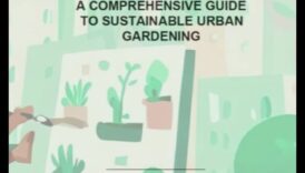 Greening Up the City: Urban Gardening Adventures