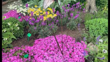 Blossoms in Bronze: The Allure of Outdoor Garden Art