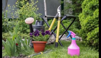 Greenery Guardians: Unelte de grădină dezvăluite