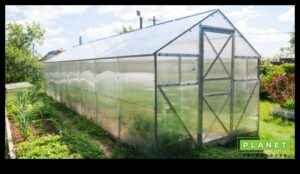 Green Marvels: ridică-ți grădina cu echipamente de top