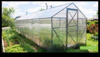 Green Marvels: ridică-ți grădina cu echipamente de top