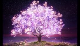 Arta transparenței: crearea de scene luminoase