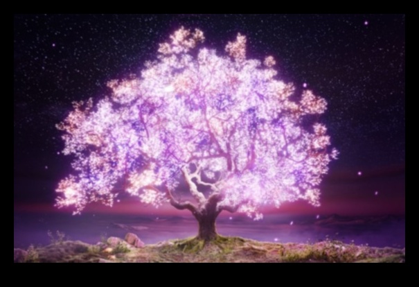 Arta transparenței: crearea de scene luminoase