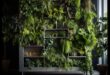 Reaching for Green: Vertical Gardening Adventures