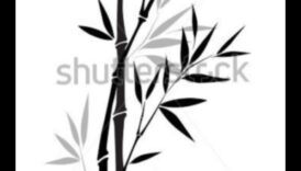 Subtilitățile cernelii: crearea unei linii detaliate