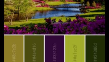 Paleta naturii: inspirații de bricolaj pentru o grădină plină de culoare