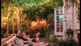 Posibilități de plantare: inovații de bricolaj pentru oaza ta în aer liber