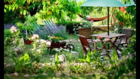 Fericirea sculpturală: infuzând liniște în oaza ta în aer liber