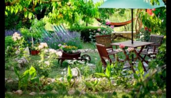 Fericirea sculpturală: infuzând liniște în oaza ta în aer liber