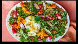 Semăna, crește, strălucește: inspirații de bricolaj pentru refugiul tău radiant în aer liber