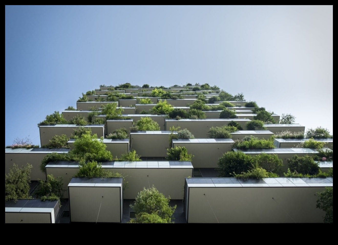 Verde de beton Cum să crești o grădină în oraș 1 Concrete Greens: Urban Gardening Magic Develed